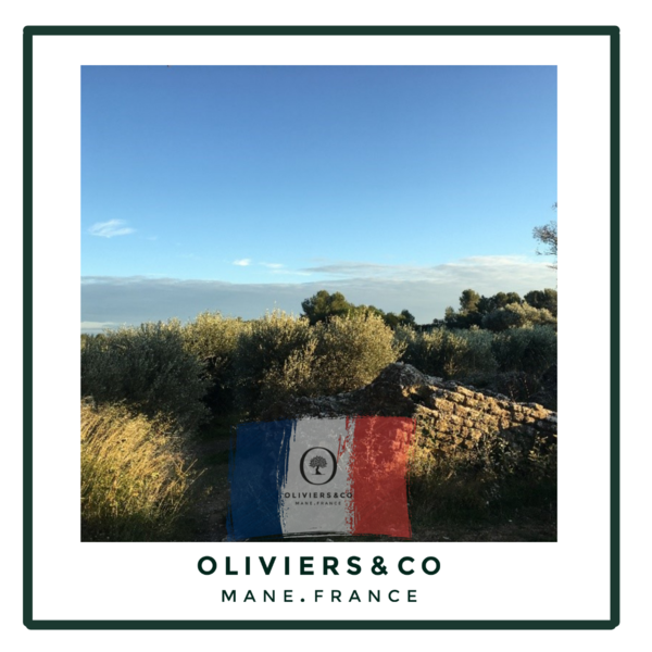 Olivenolje fra Frankrike !