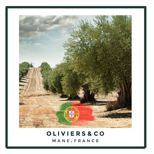 Olivenolje fra Portugal !