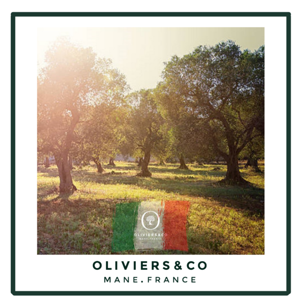 Olivenolje fra Italia!