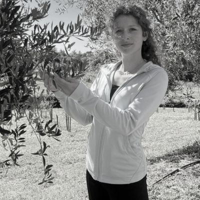 Letizia Navari
