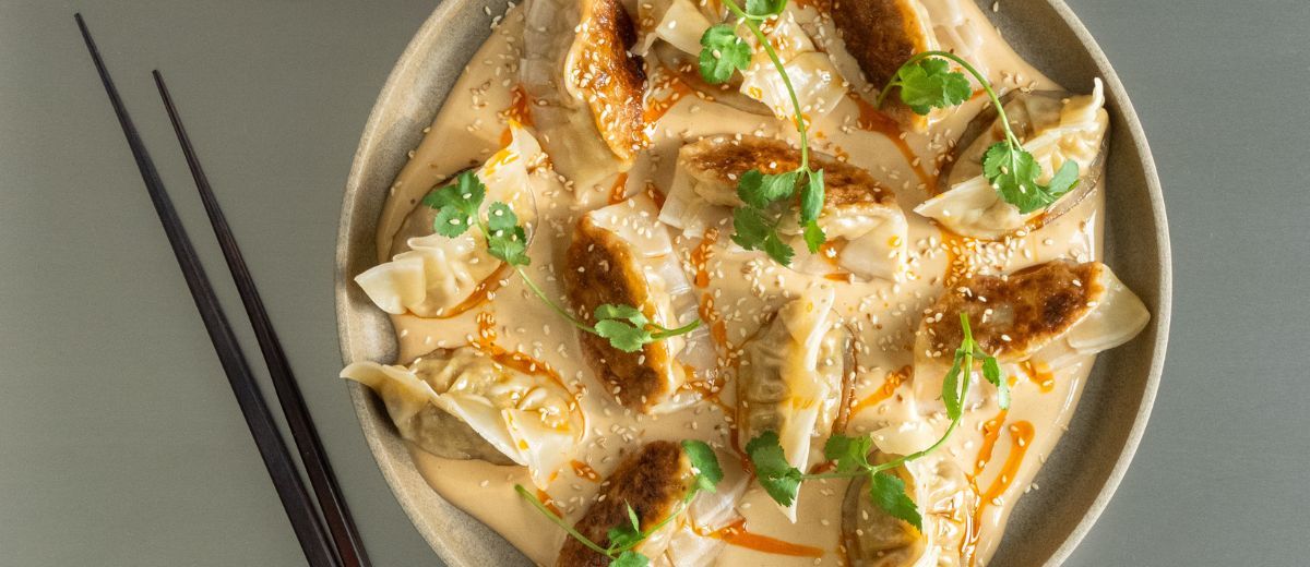 Vegetariske Gyoza