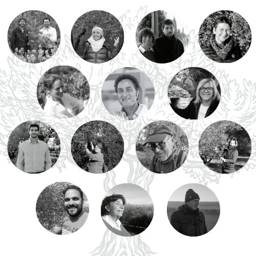 Producteurs d'huile d'olive 